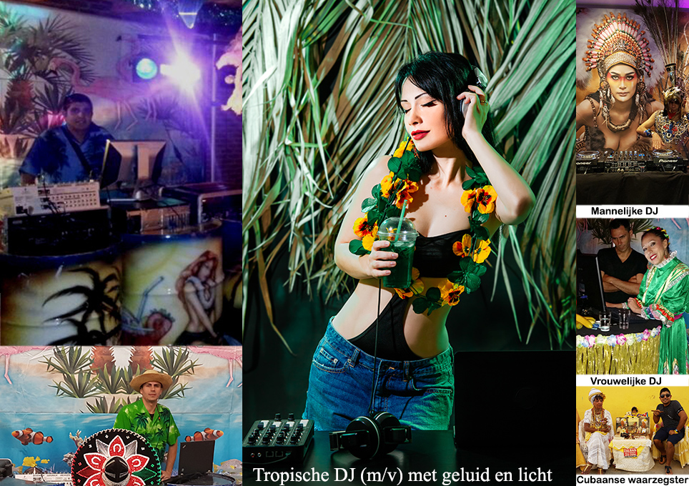 Hawaiiaans themafeest