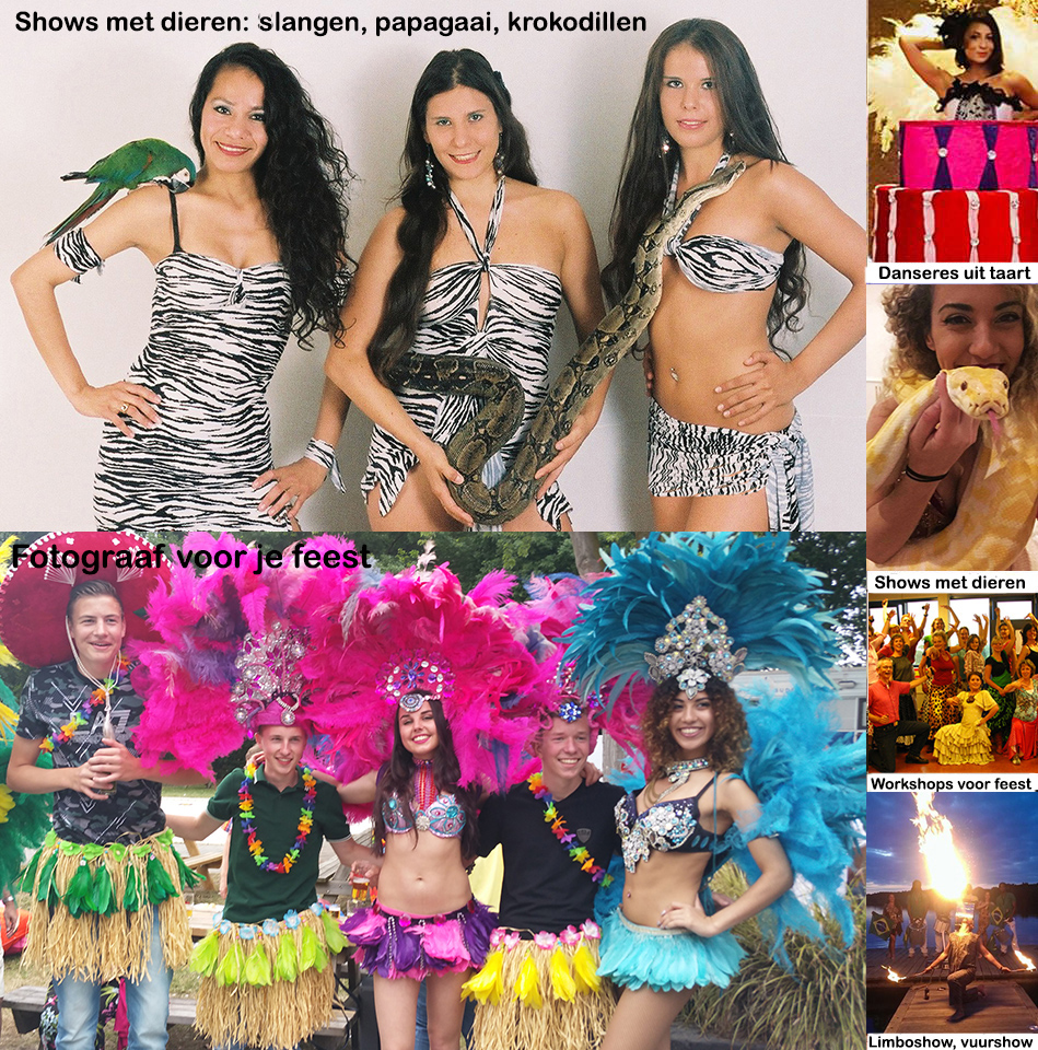 Hawaiiaans themafeest